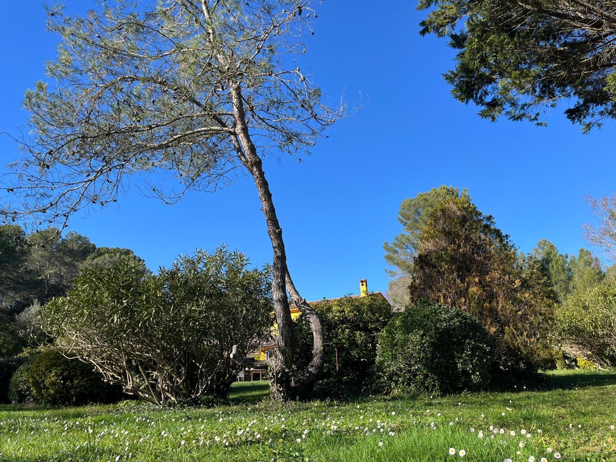 Villa De Miha Valbonne Eksteriør billede
